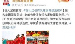 广州恒大最新爆料信息网,揭秘球队动态与未来规划