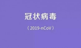 肺炎病毒爆料视频最新,最新爆料视频深度解析