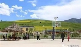 青海农村最新爆料消息,揭秘乡村振兴背后的故事