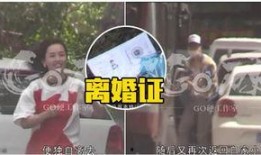 名星热点爆料最新消息今天,今日热点爆料，揭秘娱乐圈最新动态