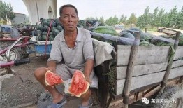 林州市吃瓜最新事件爆料,揭秘背后惊人真相