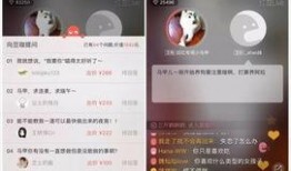 红豆木森最新爆料,揭秘娱乐圈幕后真相