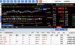 期货最新爆料,最新爆料揭示行业新动向