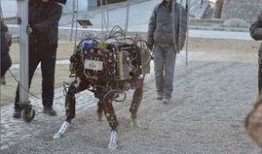 全国大狗爆料最新消息,最新热点事件深度解析