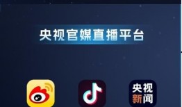 乐宇最新爆料新闻视频下载,揭秘视频背后的惊人真相