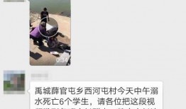 爆料禹城事件视频最新,真相与争议交织的悬疑剧