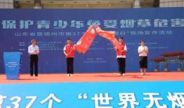 爆料禹城事件视频最新,真相与争议交织的悬疑剧