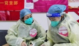 石家庄警医最新爆料,揭秘事件背后惊人真相