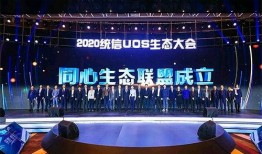 大爆料最新2020,年度热点事件深度解析