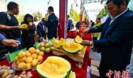 吃瓜爆料柳州视频大全最新,视频大全揭秘城市生活百态