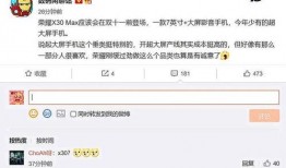 荣耀官网最新爆料消息,揭秘全新旗舰手机核心配置与亮点
