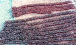 最新羊毛爆料图片欣赏高清,高清图片赏析，带你领略时尚潮流