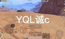 t1训练赛最新爆料,神秘爆料揭示赛场风云