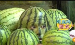 新瓜最新爆料网红蔡二哥,揭秘网红背后的惊人真相