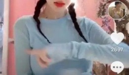 李小璐综艺节目最新爆料,揭秘娱乐圈背后的惊人真相